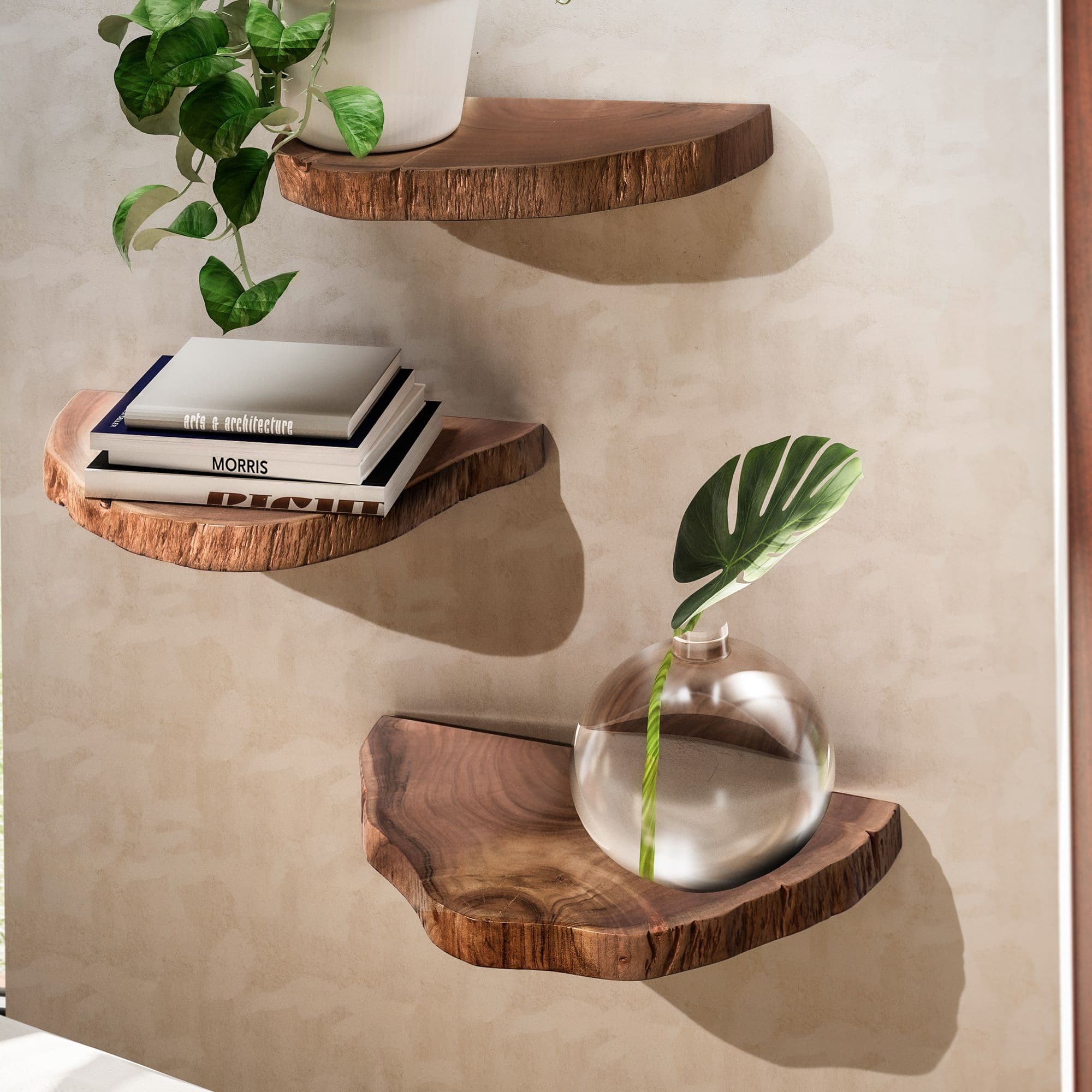 FineBuy Wandregal 3er Set Akazie Vollholz Hängeregal Baumscheibe, Natur Pflanzentreppe für die Wand, Schweberegal Hängend mit Baumkante, Blumentreppe Baumstamm Modern